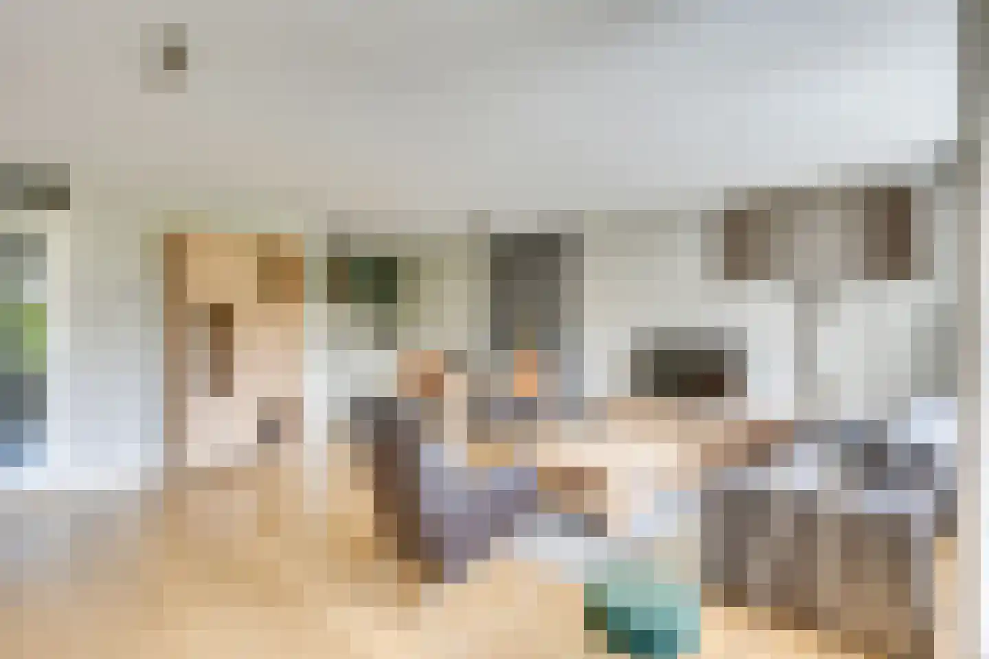 Biggenstraat 31 Uden thumbnail 9