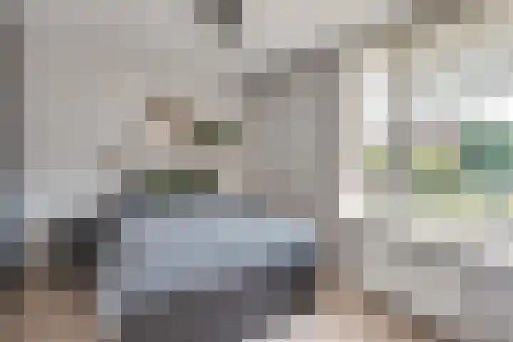 Biggenstraat 40 Uden thumbnail 15
