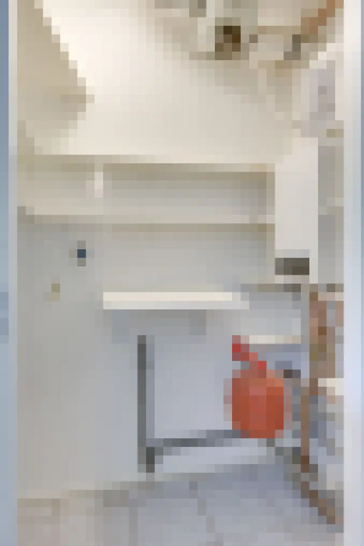 Biggenstraat 46 Uden thumbnail 15