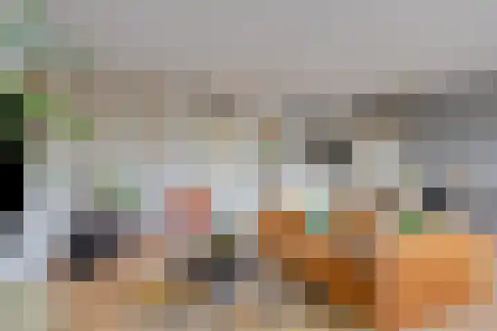 Biggenstraat 50 Uden thumbnail 16