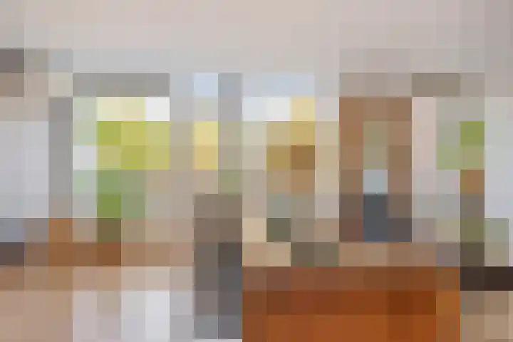 Biggenstraat 50 Uden thumbnail 18