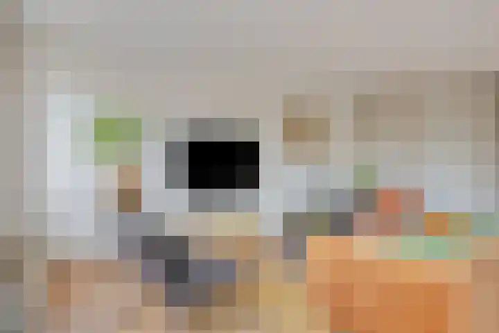 Biggenstraat 50 Uden thumbnail 19