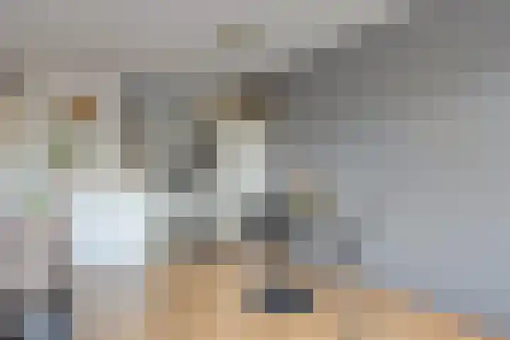 Biggenstraat 50 Uden thumbnail 23