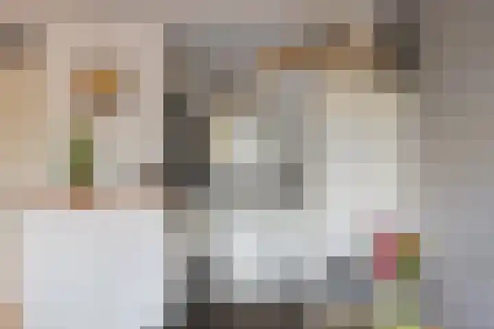 Biggenstraat 50 Uden thumbnail 24