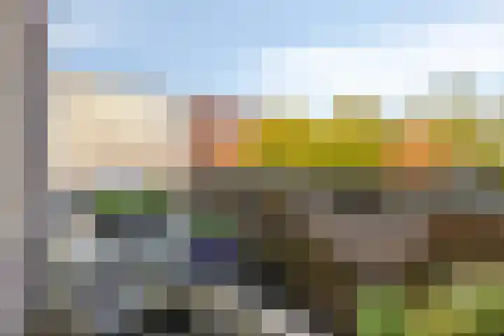 Biggenstraat 50 Uden thumbnail 28