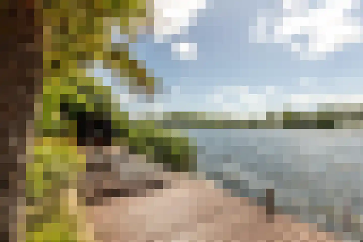 Biggenstraat 50 Uden thumbnail 4