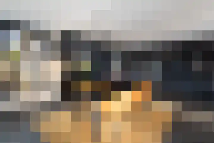 Biggenstraat 50 Uden thumbnail 8