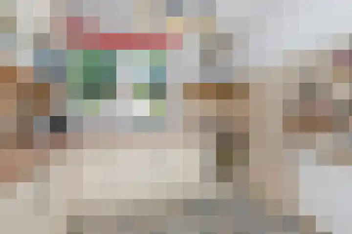 Biggenweide 14 Zoetermeer thumbnail 23