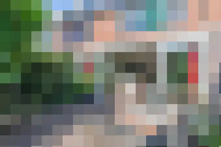 Biggenweide 14 Zoetermeer thumbnail 28