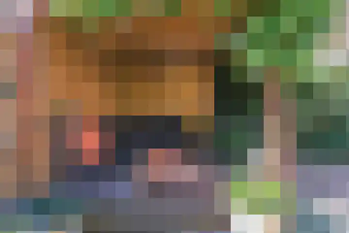 Biggenweide 14 Zoetermeer thumbnail 31