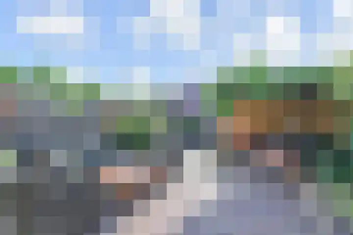 Biggenweide 14 Zoetermeer thumbnail 34