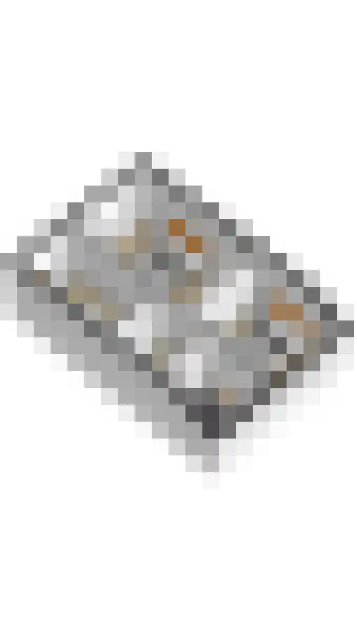 Biggenweide 14 Zoetermeer thumbnail 37