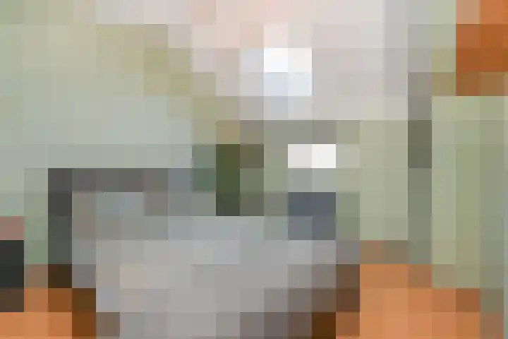 Biggenweide 14 Zoetermeer thumbnail 40