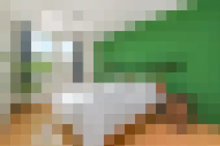 Biggenweide 14 Zoetermeer thumbnail 5