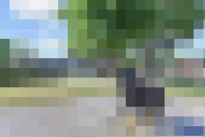 Biggenweide 14 Zoetermeer thumbnail 56