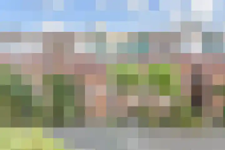 Biggenweide 14 Zoetermeer thumbnail 6