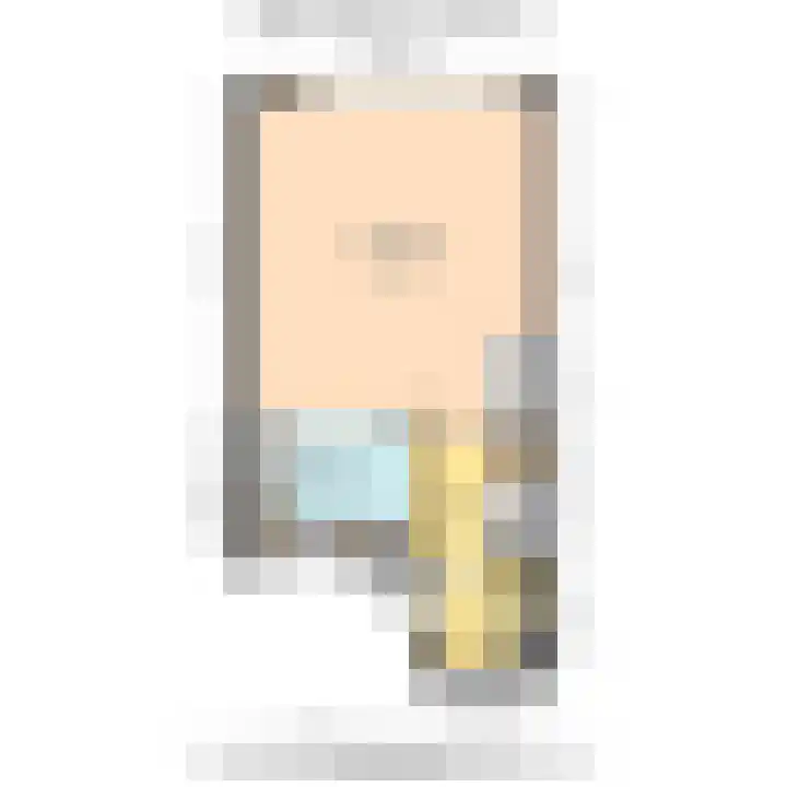 Biggenweide 20 Zoetermeer thumbnail 39