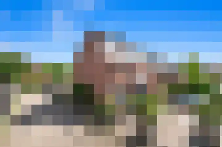 Biggenweide 20 Zoetermeer thumbnail 47