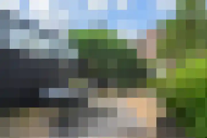 Biggenweide 5 Zoetermeer thumbnail 19