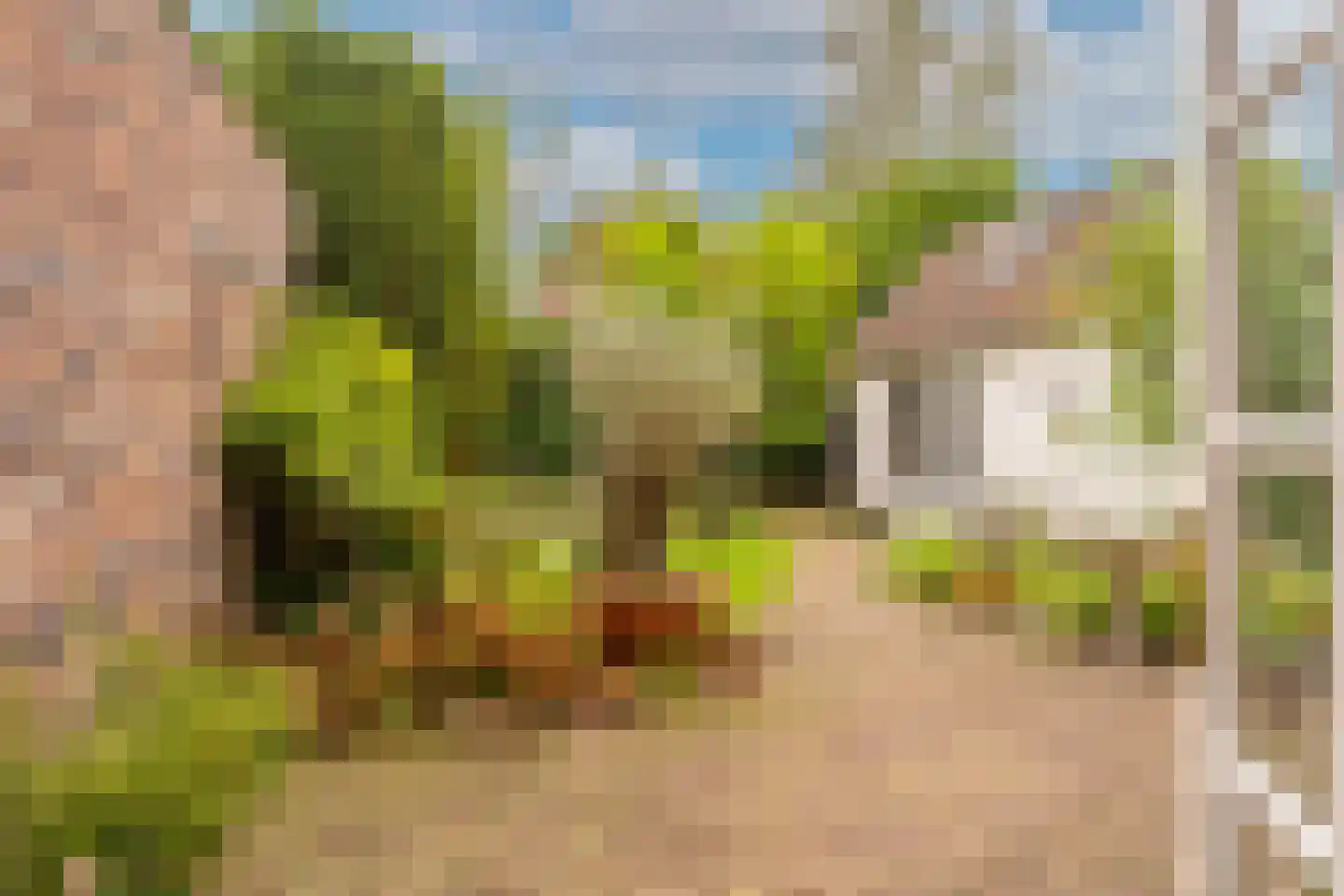 Bij de Berg 3 Blaricum thumbnail 23