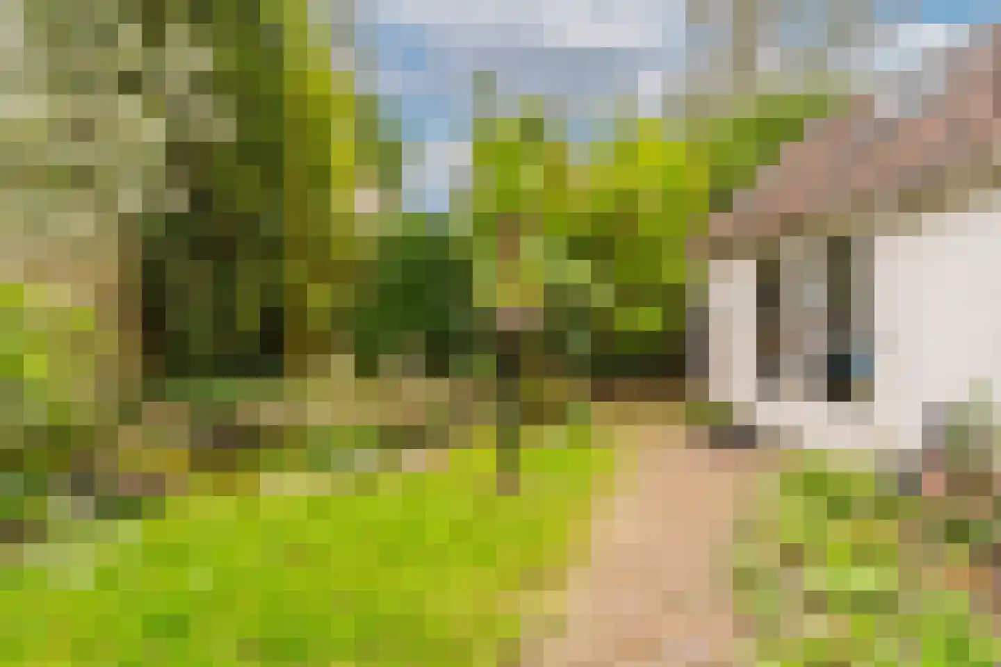 Bij de Berg 3 Blaricum thumbnail 24