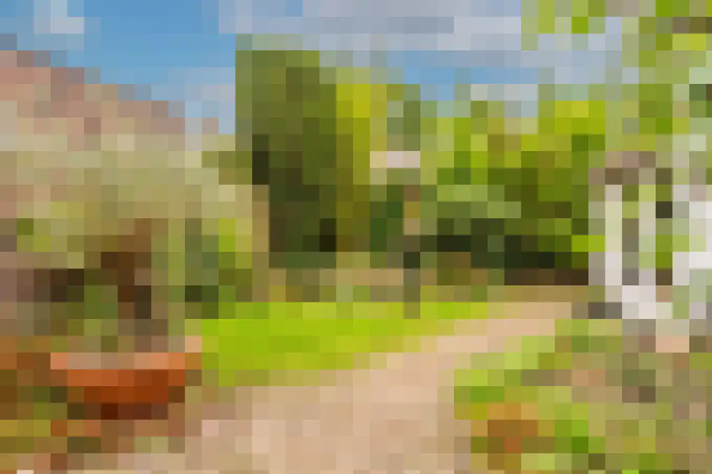 Bij de Berg 3 Blaricum thumbnail 25