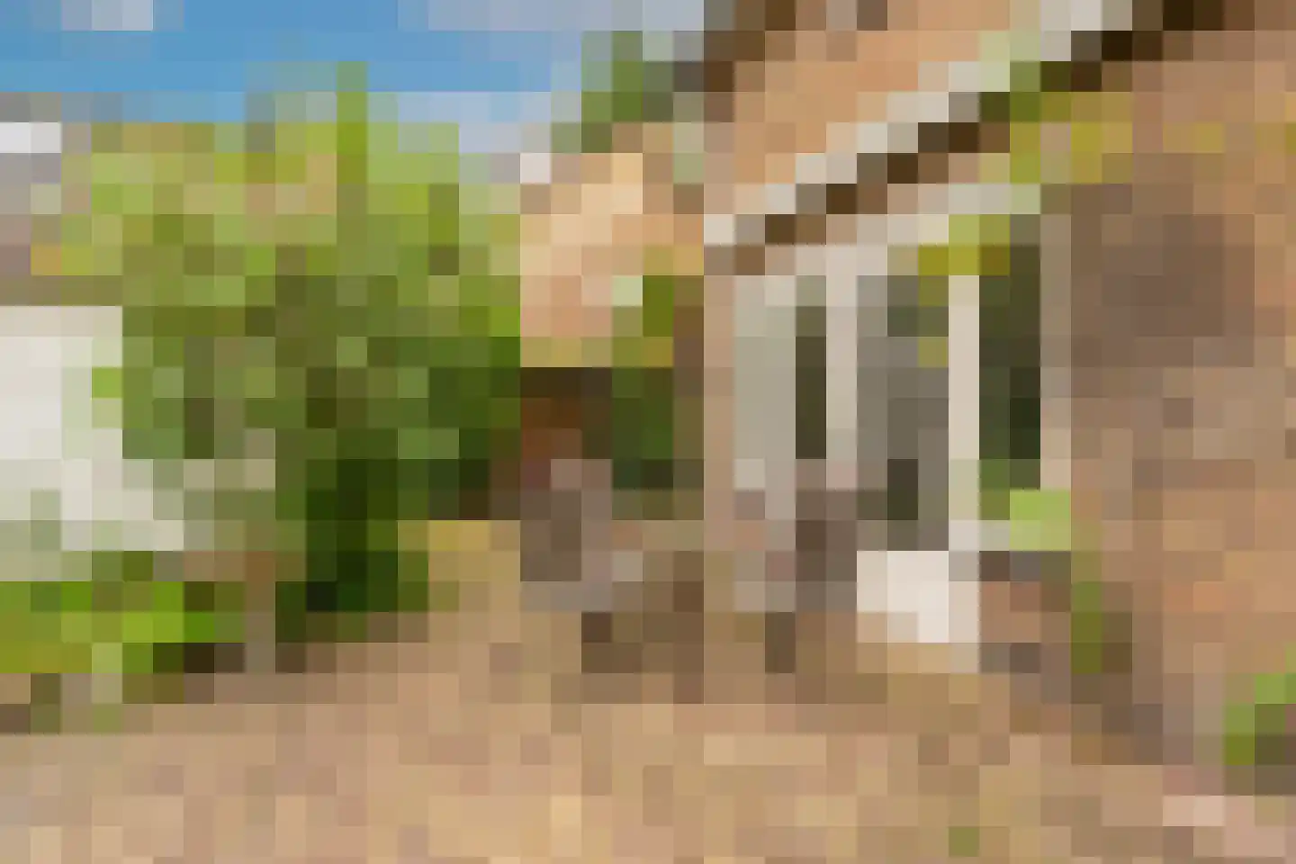 Bij de Berg 3 Blaricum thumbnail 28