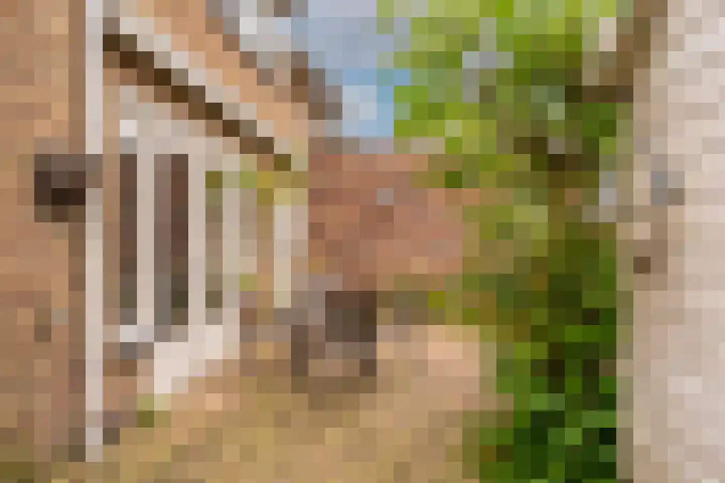 Bij de Berg 3 Blaricum thumbnail 29