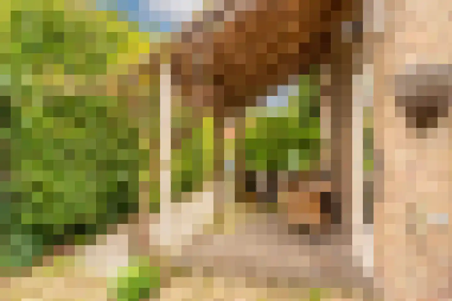Bij de Berg 3 Blaricum thumbnail 30