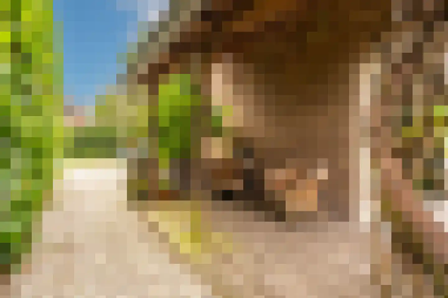 Bij de Berg 3 Blaricum thumbnail 31