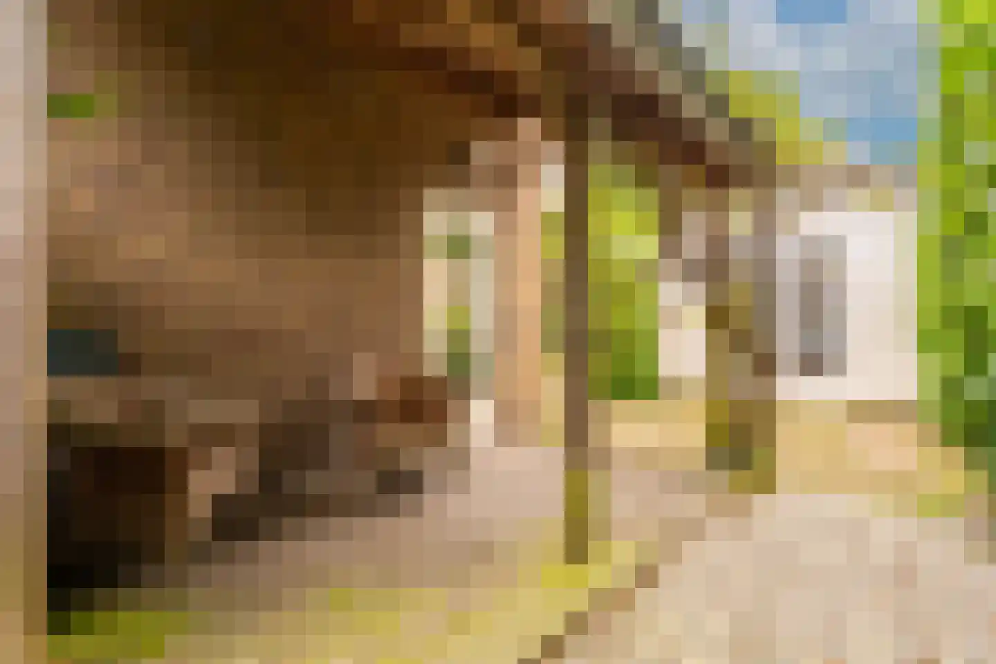 Bij de Berg 3 Blaricum thumbnail 32