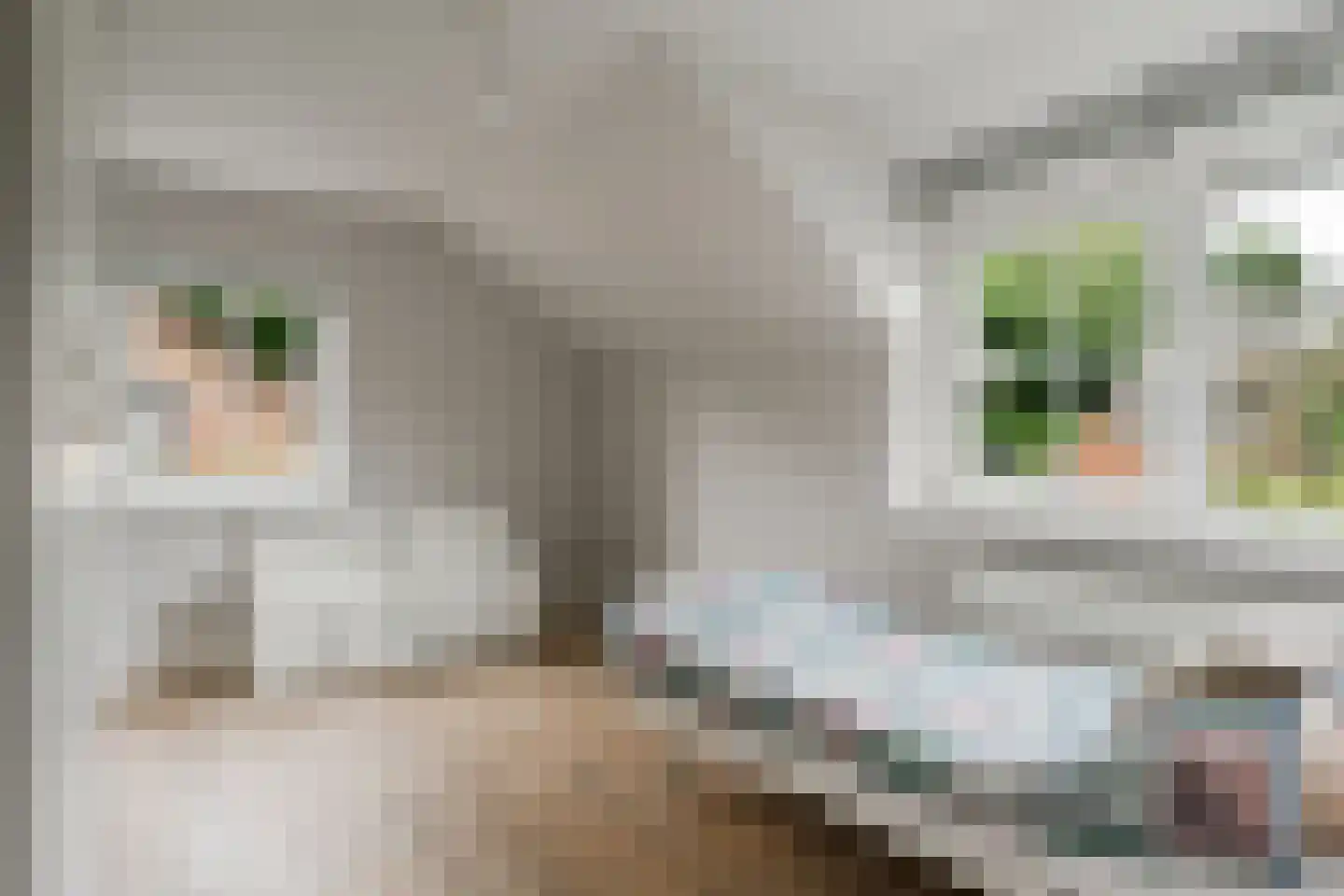 Bij de Berg 3 Blaricum thumbnail 34