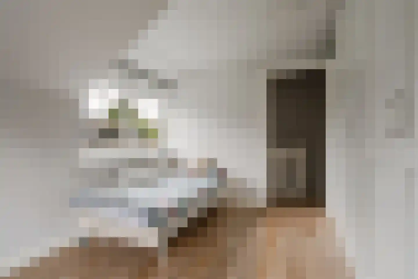 Bij de Berg 3 Blaricum thumbnail 35