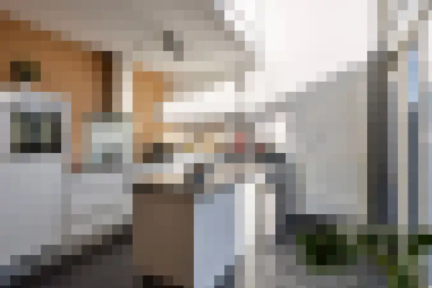 Bij de Broeders 10 Kerkrade thumbnail 10