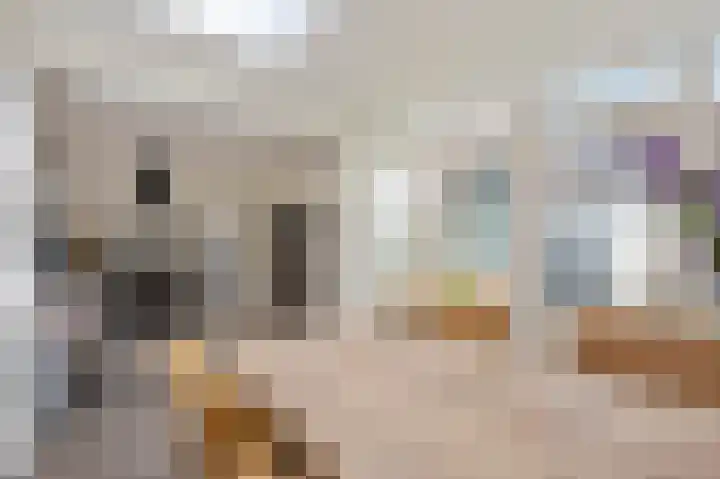 Bij de Gracht 2 Susteren thumbnail 15