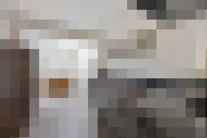 Bij de Gracht 2 Susteren thumbnail 16