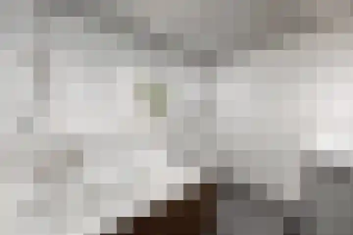 Bij de Gracht 2 Susteren thumbnail 23