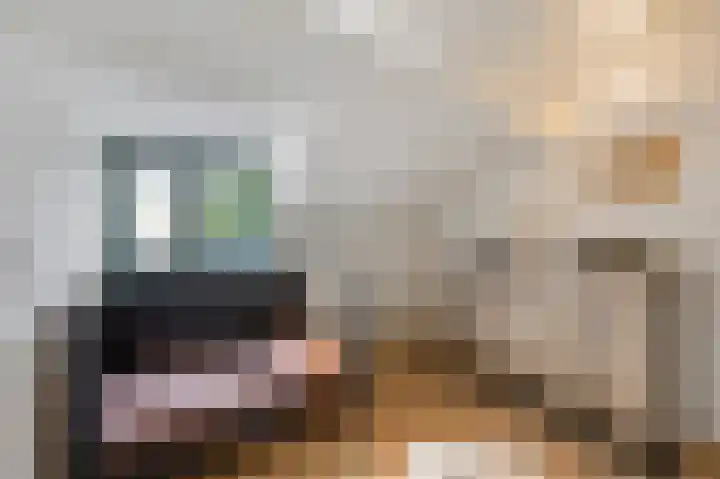 Bij de Gracht 2 Susteren thumbnail 36