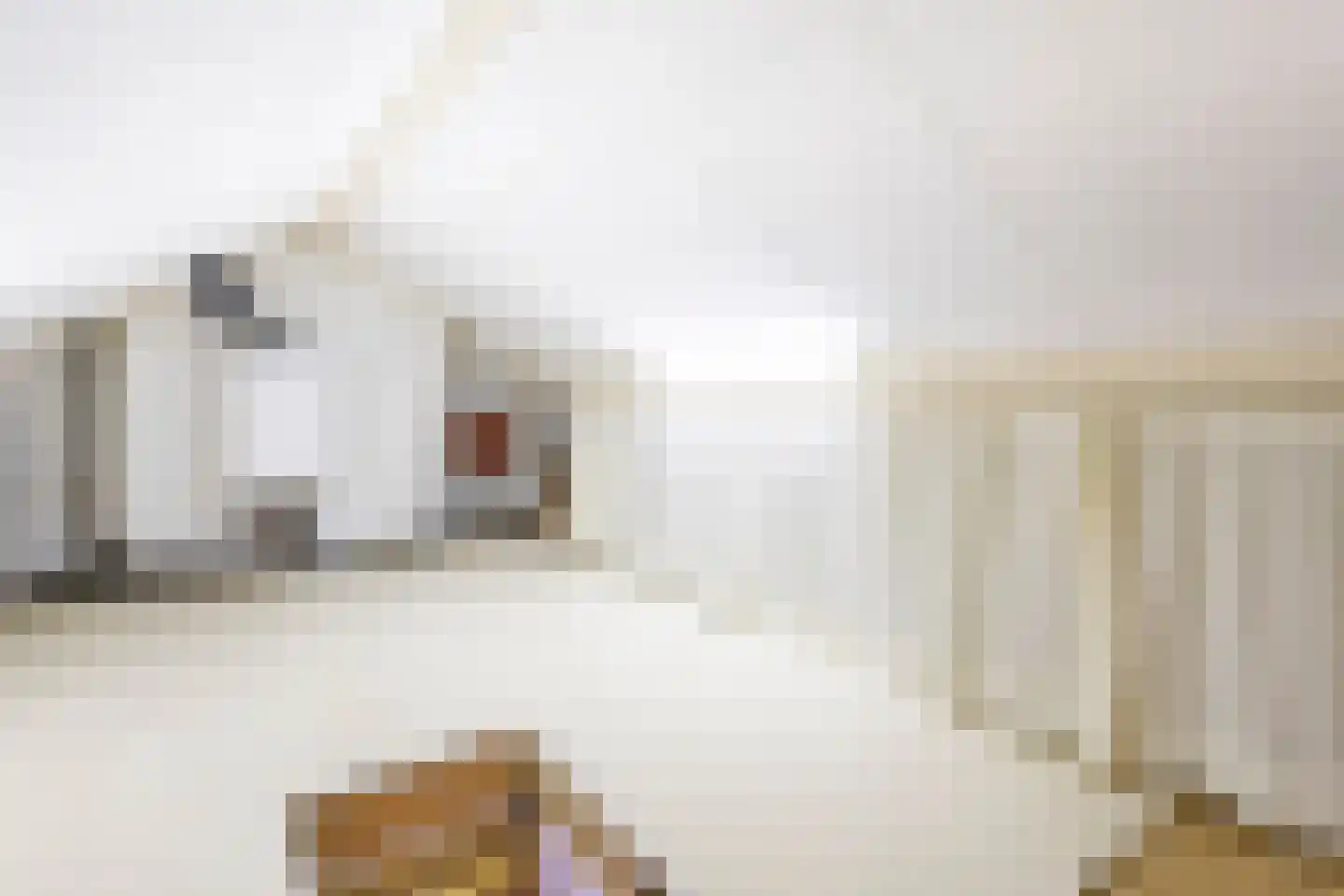 Bij de Kerk 14 Nieuwpoort thumbnail 22