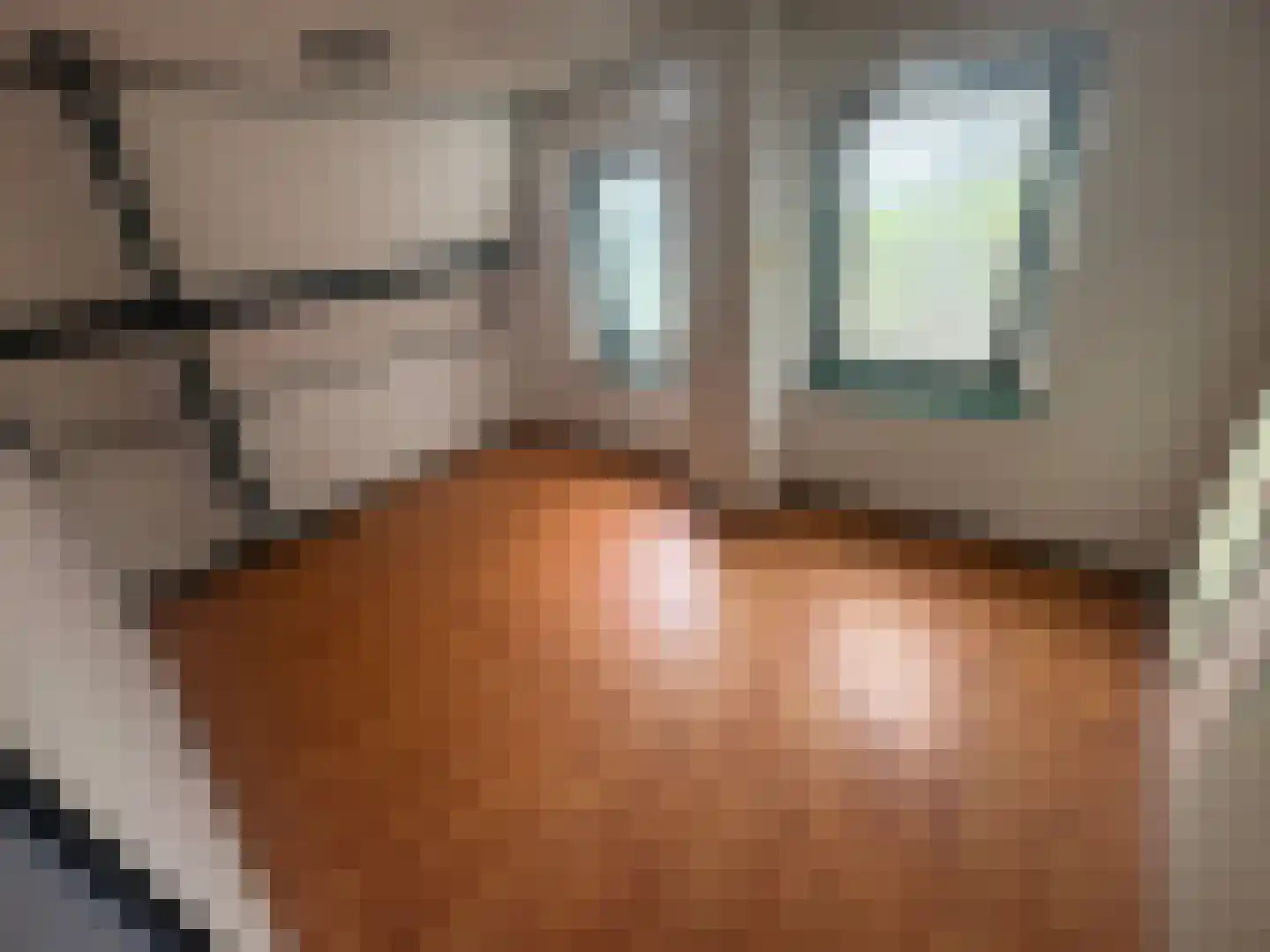 Bij de Leijwei 111 Hoornsterzwaag thumbnail 16