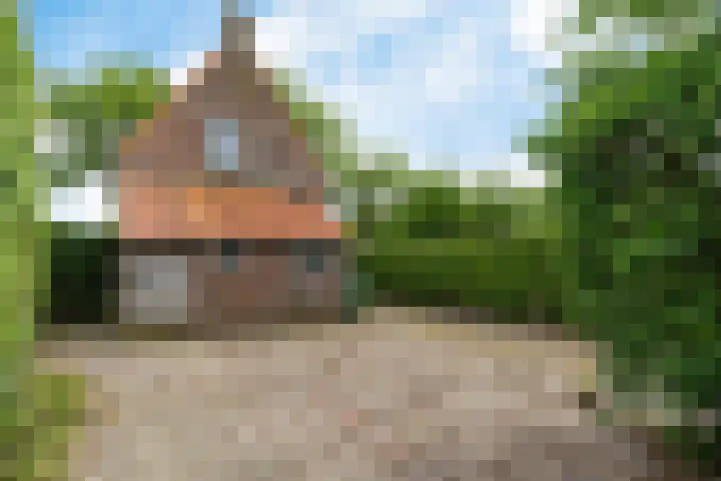 Bij de Leijwei 111 Hoornsterzwaag thumbnail 22