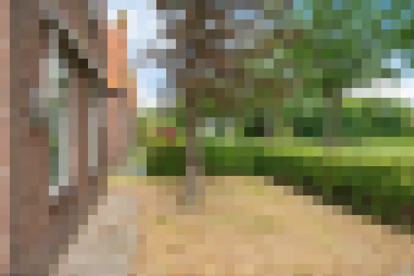 Bij de Leijwei 111 Hoornsterzwaag thumbnail 26