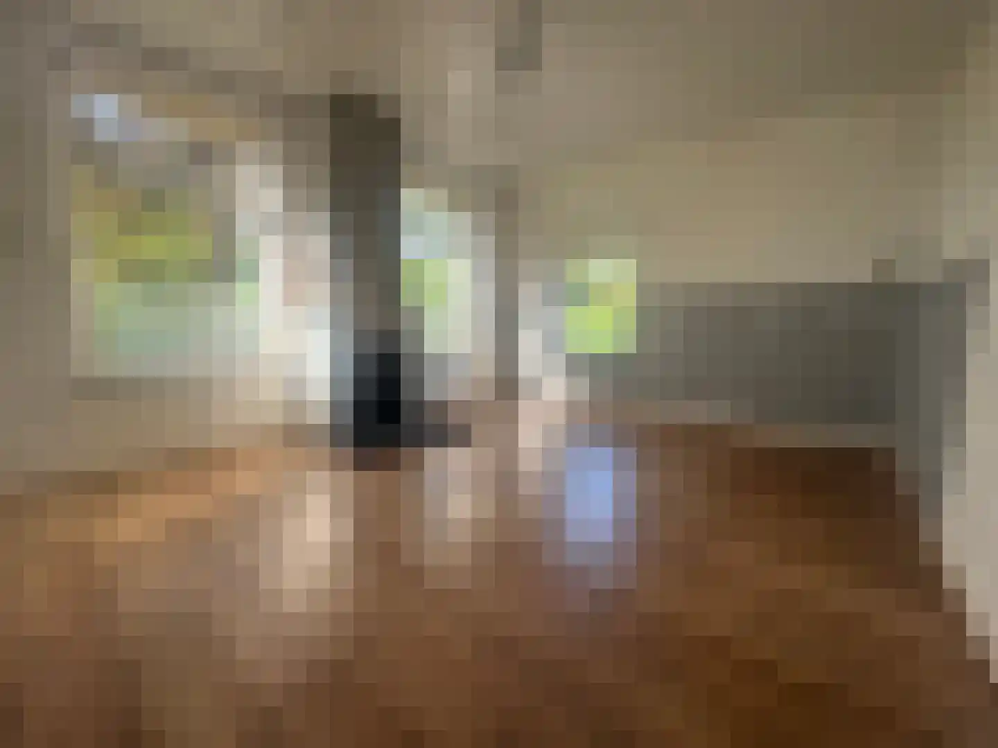 Bij de Leijwei 111 Hoornsterzwaag thumbnail 6