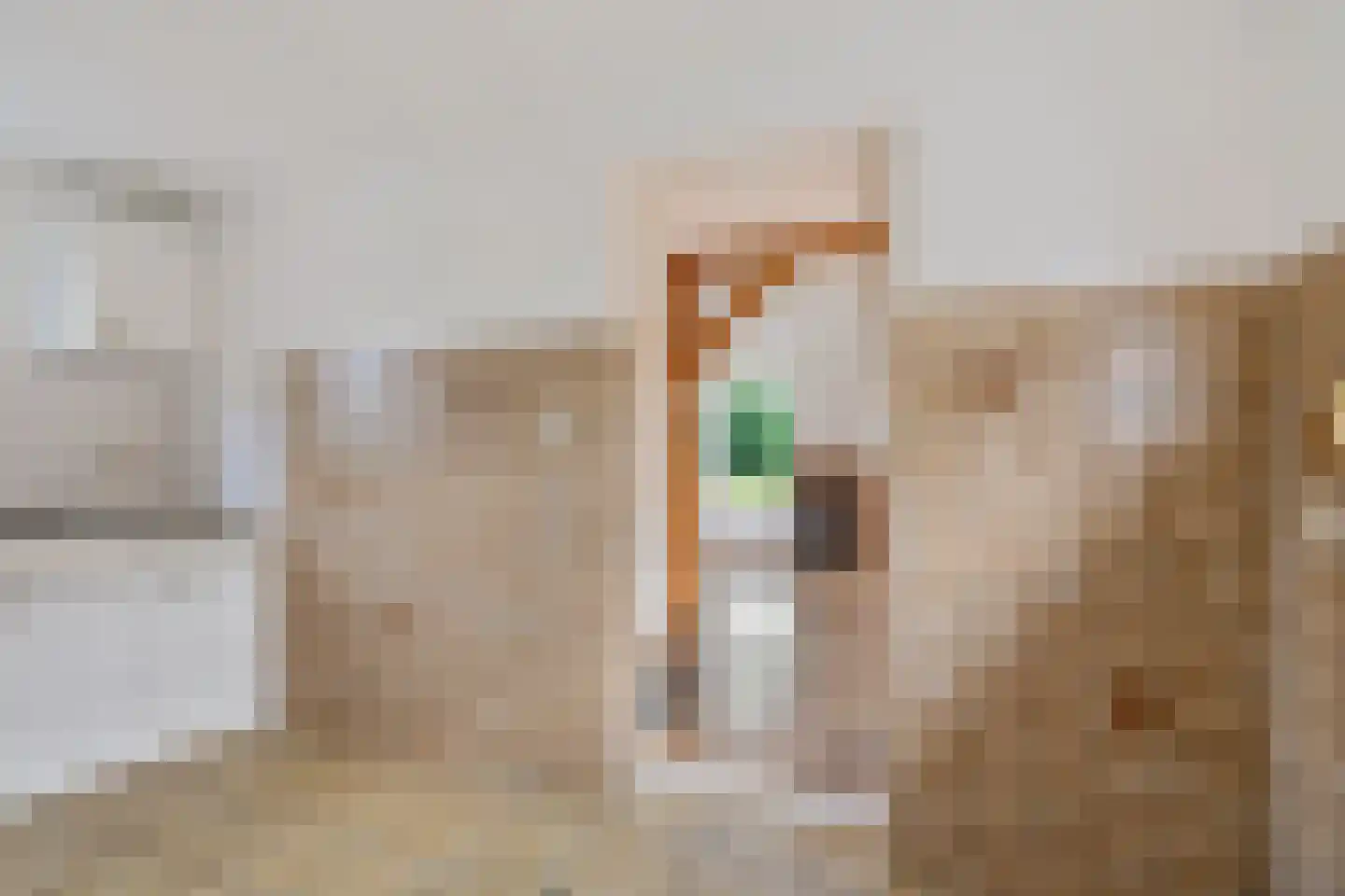Bij de Leijwei 117 Hoornsterzwaag thumbnail 11