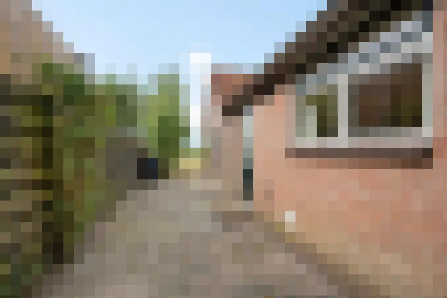 Bij de Leijwei 117 Hoornsterzwaag thumbnail 28