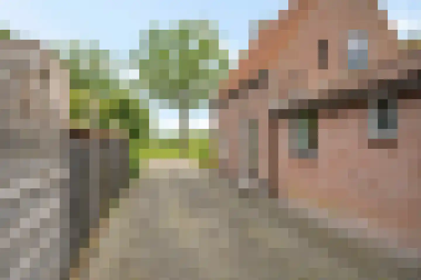 Bij de Leijwei 117 Hoornsterzwaag thumbnail 31