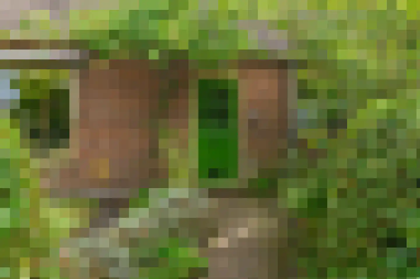 Bij de Leijwei 2 Hoornsterzwaag thumbnail 11