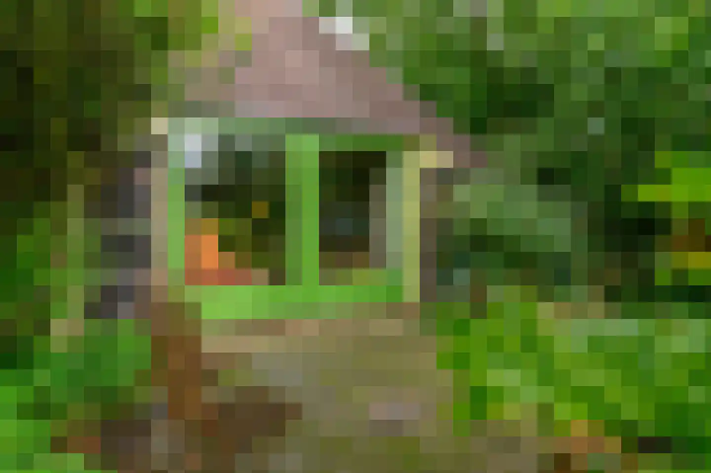 Bij de Leijwei 2 Hoornsterzwaag thumbnail 14