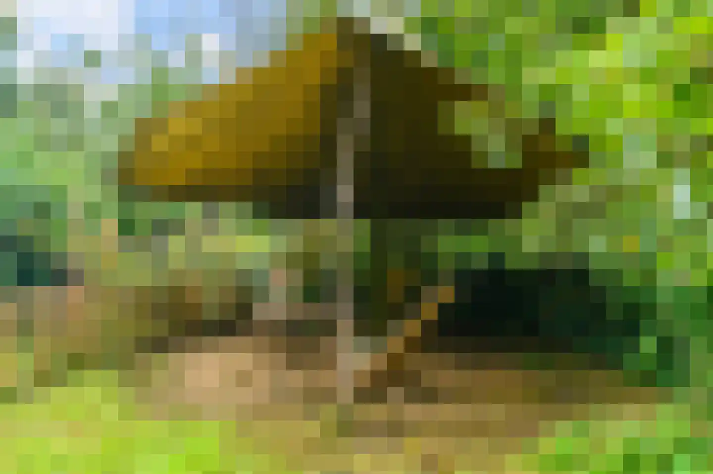 Bij de Leijwei 2 Hoornsterzwaag thumbnail 19