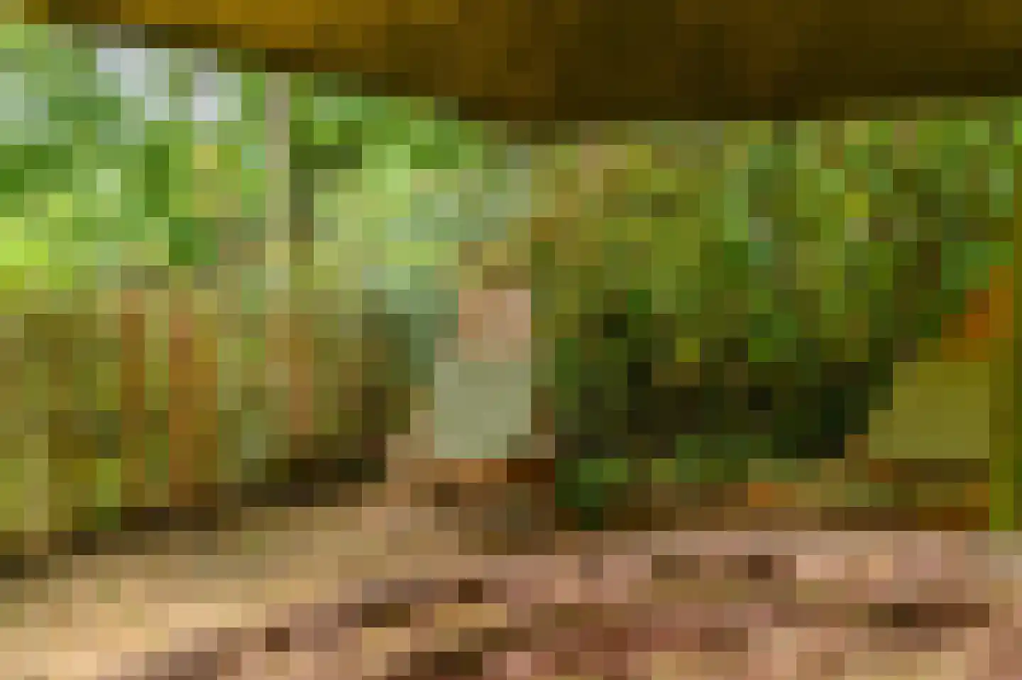 Bij de Leijwei 2 Hoornsterzwaag thumbnail 20
